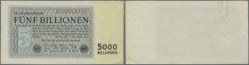 5 Billionen Mark 1923 Ro. 127a, leicht gebraucht mit Heftklammerspuren auf der Rückseite, Erhaltung F+.