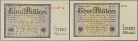 1 Billion Mark 1923, Set von 2 Banknoten, 1 x Reichsdruck Ro.131a, 1 x Firmendruck Ro.131d, beide in leicht gebrauchter Erhaltung, VF+.