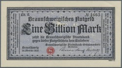 Braunschweig, Staatsbank, 1 Billion Mark, 26.10.1923, Wz. Hakenmäander, Lit. E, Erh. I
