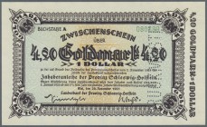 Schleswig-Holstein, Landesbank der Provinz, 4.20 GM = 1 $, Kiel, 20.11.1923, mit KN, Perforation ”DRUCKMUSTER”, Erh. I, von großer Seltenheit