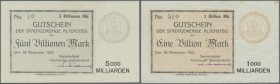 Altensteig, Stadt, 1, 5 Billionen Mark, 19.11.1923, mit KN und Unterschrift, Erh. II, 2 Scheine