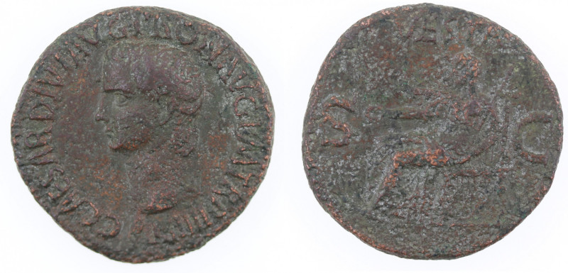 Impero Romano. Caligola. 37-41 d.C. Asse. Ae. D/ C CAESAR DIVI AVG PRON AVG P M ...