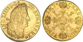 LOUIS XIV le Grand (1643-1715)
Double louis d'or aux 4 L
1697 A - TTB 40 (TTB+)
fn - Très Rare !!, ajustage


DR 243, D 1439-1439a, GR 260, KM# ...
