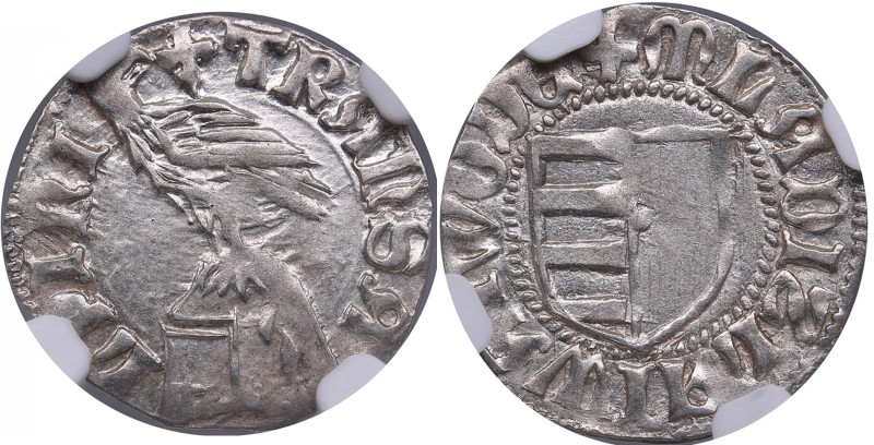 Romania, Wallachia AR Denar - Vladislav I (1364-1377) - NGC MS 61
Charming lumin...