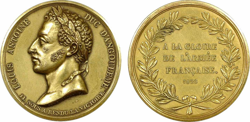 Médaille En Bronze Louis Antoine, Duc D'Angoulême – Insigne Déco France, Ancien