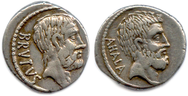 SERVILIA Q. Servilius Caepio /M. Junius Brutus 54 avant J.-C.
BRVTVS. Tête barb...