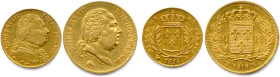 LOUIS XVIII frère de Louis XVI 1814-1815-1824
Deux monnaies en or : 
20 Francs (buste habillé) 1814 Paris 
40 Francs (tête nue) 1818 Lille. (19,31 ...