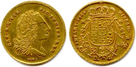 ITALIE - NAPLES Royaume des deux Siciles - CHARLES DE BOURBON 1734-1759
4 Ducats d'or 1749 M-M. (5,88 g) ♦ Fr 844 
Très beau. 

Estimate: EUR 400 ...