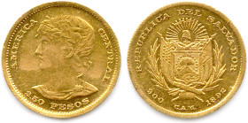 RÉPUBLIQUE DEL SALVADOR
2 ½ Pesos d'or 1892. (597 ex.) (4,02 g) ♦ Fr 4
Très rare. Superbe.

Estimate: EUR 800 - 900