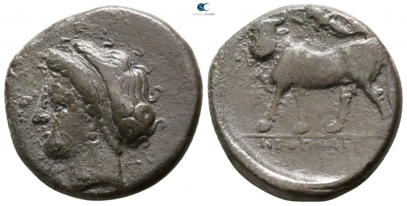Campania. Neapolis 325-241 BC. 
Didrachm AR

20mm., 7,39g.

Head of nymph l...