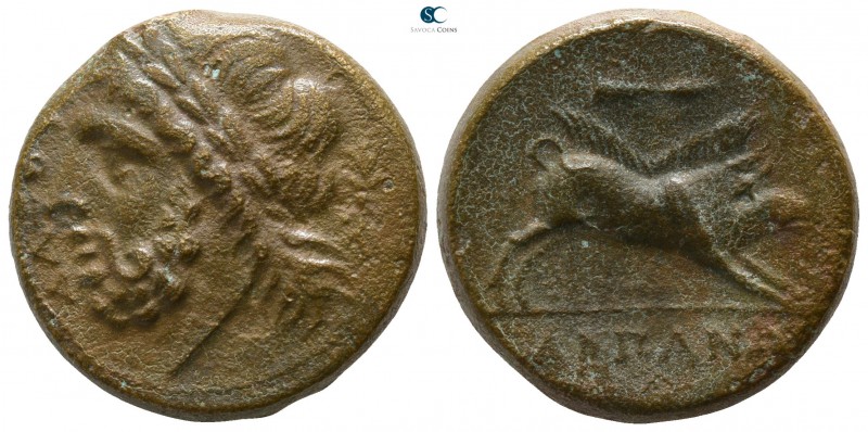 Apulia. Arpi circa 325-275 BC. 
Bronze Æ

20mm., 9,16g.

ΔΑΖΟΥ, laureate he...