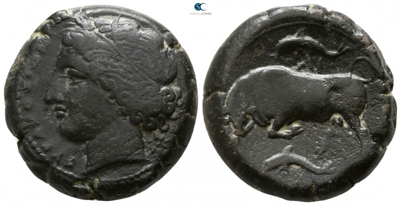 Sicily. Syracuse. Agathokles 317-289 BC. 
Bronze Æ

21mm., 12,20g.

 Wreath...