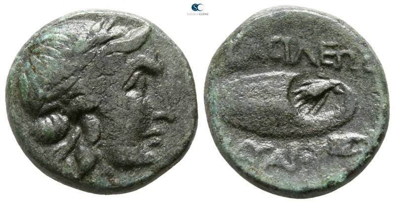 Kings of Thrace. Kabyle. Kavaros 225-218 BC. 
Bronze Æ

16mm., 4,51g.

Laur...