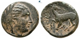 Ionia. Ephesos as Arsinoeia  290-281 BC. Bronze Æ