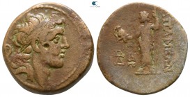 Seleukid Kingdom. Apameia. Alexander I Balas 152-145 BC. SE 163=150/149 BC. Bronze Æ