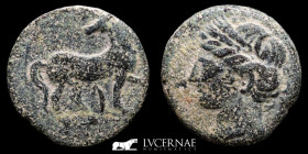 Hispania Carthaginians Bronze Calco 6.12 g. 21 mm. Cartago Nova 220 BC. Good very fine (MBC)