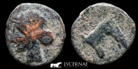 Cartagonova Bronze Calco 6.60 g., 21 mm. Cartagonova 220-215 BC. Very fine