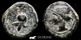 Cartaghinians in Hispania Bronze 1/4  Calco 2.33 g., 12 mm. Mobile mint 218-210 B.C Good very fine (MBC)