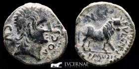 Castulo Bronze Semis 8.42 g., 24 mm. Hispania 100-50 B.C. Good very fine