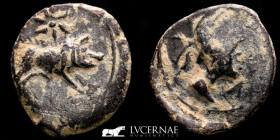 Castulo (Hispania) Bronze Quadrans 2,73 g., 17 mm. Castulo 180-150 B.C. gVF