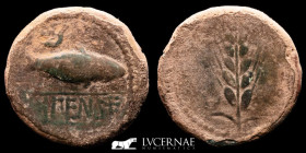 Ilipense / Ilipa bronze As 12.63 g, 31 mm Hispania 120-20 B.C. gVF