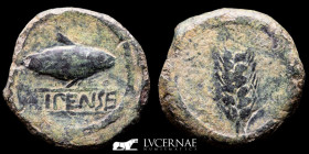 Ilipense / Ilipa bronze Semis 17.05 g, 27 mm Hispania 120-20 B.C. gVF