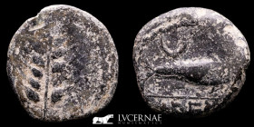 Ilipense / Ilipa bronze Quadrans 3,39 g, 19 mm Hispania 120-20 B.C. gVF