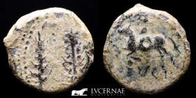 Ituci Bronze Semis 7,04 g. 21 mm. Tejada la Vieja, Sevilla 150-50 GVF