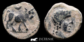 Obulco bronze Semis 4,94 g. 21 mm Hispania 1st. century BC. good very fine