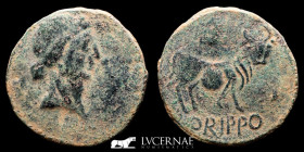 Orippo.(Dos Hermanas, Sevilla), bronze As 9.29 g. 26 mm. Orippo 50 BC Good very fine