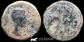 Tiberius Bronze Dupondius 24.16 g., 35 mm. Acci (Guadix,Granada) 14-37 A.D. Fine