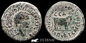 Tiberius bronze As 13.20 g., 30 mm. Caesaraugusta 14-36 A.D. Good very fine (MBC)