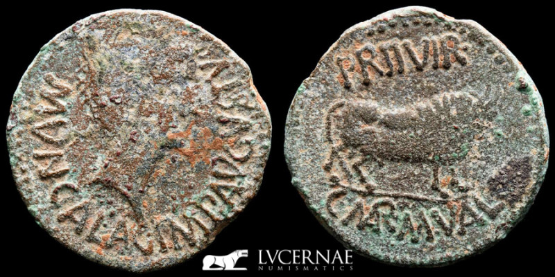 Roman Hispania - Augustus (27 B.C -14 A.D). Bronze As (10.86 g. 28 mm.) minted i...