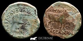 Tiberius Bronze As 11.23 g. 28 mm. Cascantum (Castante) 14-37 A.D. Good very fine (MBC)