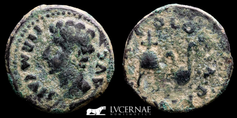 Roman Provincial - Hispania - Augustus (27 B.C. - 14 A.D.) 
Æ Semis (4.44 g. 22 ...