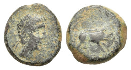 Spain, Castulo, late 2nd century BC. Æ Quarter Unit - Quadrans (17mm, 4.60g). Diademed male head r. R/ Boar advancing r. ACIP 2155. Good Fine