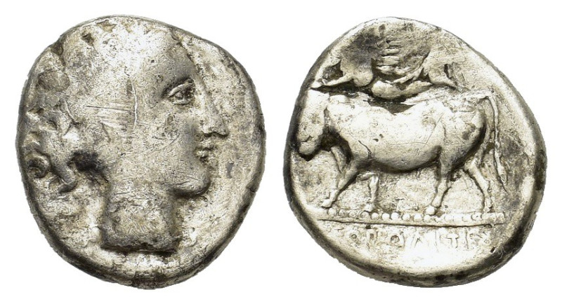 Southern Campania, Neapolis, c. 320-300 BC. AR Didrachm (19mm, 6.40g). Head of n...
