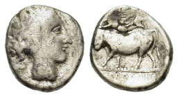 Southern Campania, Neapolis, c. 320-300 BC. AR Didrachm (19mm, 6.40g). Head of nymph r., hair bound in band. R/ Man-headed bull advancing l., being cr...