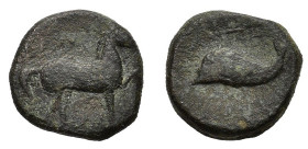 Northern Apulia, Salapia, c. 275-250 BC. Æ (16mm, 4.60g). Horse stepping r. R/ Dolphin l. HNItaly 685; SNG ANS 733. Good Fine