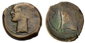 Carthaginian Domain, Sardinia, c. 264-241 BC. Æ (20mm, 4.60g). Wreathed head of Kore-Tanit l. R/ Head of horse r. Piras 1ff. Fine