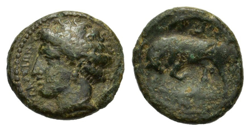 Sicily, Syracuse. Agathokles (317-289 BC). Æ (16mm, 2.60g), c. 317-310. Head of ...