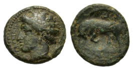 Sicily, Syracuse. Agathokles (317-289 BC). Æ (16mm, 2.60g), c. 317-310. Head of Arethusa l. R/ Bull butting l.; dolphin above. HGC 2, 1489. Good Fine