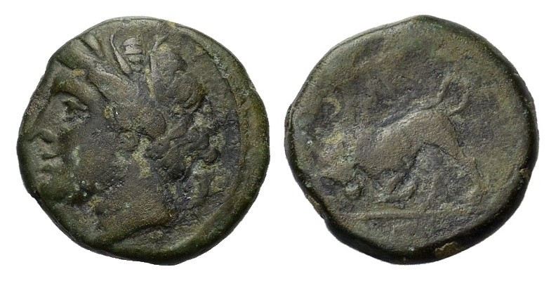 Sicily, Syracuse. Agathokles (317-289 BC). Æ (17mm, 4.00g), c. 317-310. Head of ...