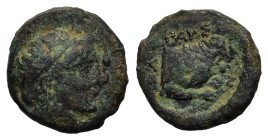 Kings of Macedon. Pausanias (c. 394/3 BC). Æ Tetrachalkon (17mm, 4.40g). Head of male r., wearing tainia. R/ Forepart of lion r. within incuse square....