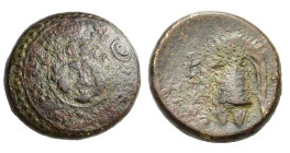 Kings of Macedon, Philip III Arrhidaios (323-317 BC). Æ Half Unit (16mm, 4.80g). Salamis, under Nikokreon. Macedonian shield, facing gorgoneion on bos...