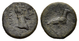 Augustus (27 BC-AD 14). Phrygia, Amorium. Æ (19mm, 5.00g). Bare head r. R/ Eagle standing r. on thunderbolt(?); long caduceus over shoulder. RPC I 323...