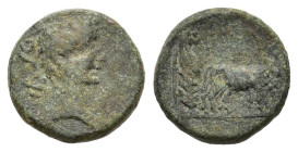 Tiberius (14-37). Macedon, Philippi. Æ (16mm, 4.00g). Bare head r. R/ Two priests plowing r. RPC I 1657; SNG Copenhagen 283 (Parium). Good Fine