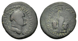 Vespasian (69-79). Caria, Trapezopolis. Æ (20.5mm, 3.70g). Laureate head r. R/ Cybele standing facing, between two lions. RPC II 1235. Fine