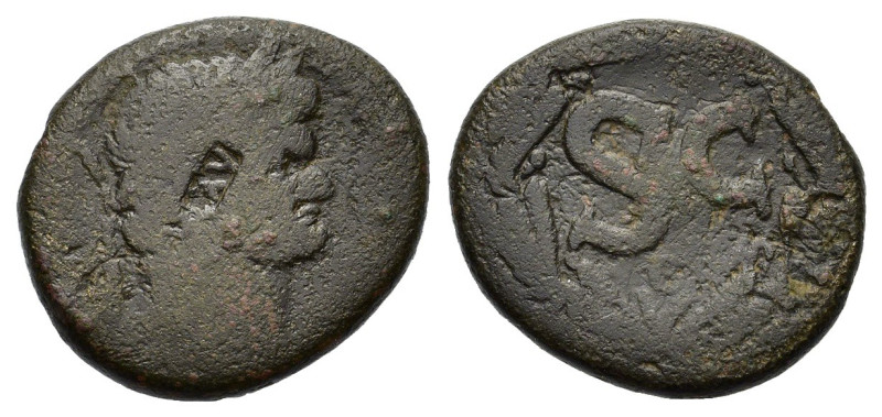 Domitian (81-96). Seleucis and Pieria, Antioch. Æ (26mm, 13.20g). Laureate head ...