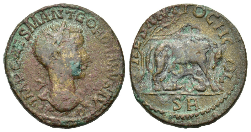 Gordian III (238-244). Pisidia, Antioch. Æ (33mm, 24.70g). Laureate head r. R/ S...